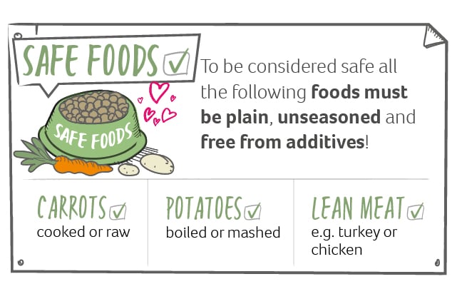 An illustration of dog safe foods