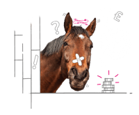 Photo illustration of a horse looking through a stable door