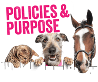 A dogs, cat and horse peer over a fence with the words "Policies and Purpose" above them