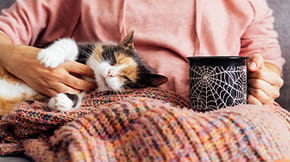 A cat enjoying a cuddle with their human, who is holding a spider web mug