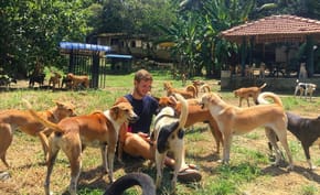 A man sits in a tropical spot, surrounded my dogs