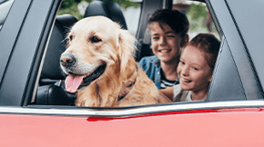 A dog looks out the window of a stationary car, with 2 children in the background
