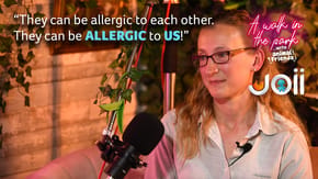 "They can be allergic to each other... They can be allergic to us!"