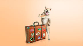 Dog with a suitcase