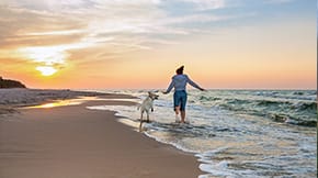 A woman and her dog are jumping waves on the beach at sunset
