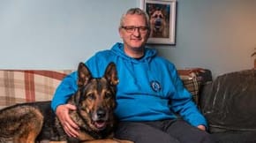 A German Shepherd on a sofa next to a man