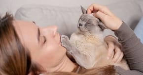 A cat resting on someone led down, with their paw over the persons mouth
