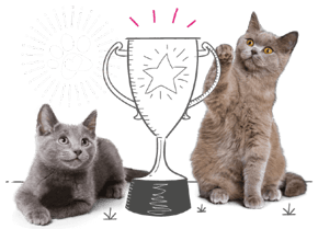 2 grey cats are flanking an illustrated trophy or award