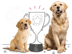 2 dogs are flanking an illustrated trophy or award
