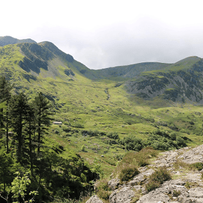 Cwm