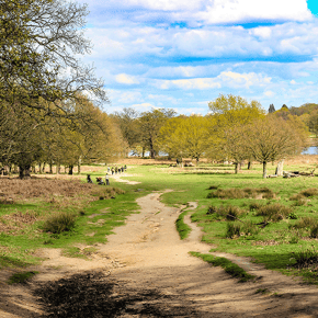 Richmond Park