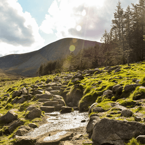 Tollymore River