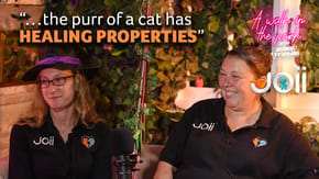 "The purr of a cat has healing properties"