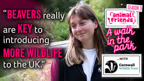 A walk in the park podcast, season 3 with Cornwall Wildlife Trust