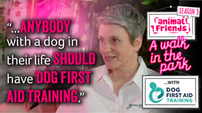A walk in the park podcast, season 3 with Dog First Aid Training