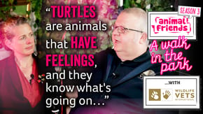 A walk in the park podcast with Wildlife Vets International