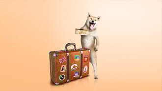 Dog with a suitcase