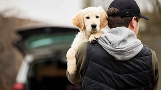 Puppy being carried by a man wearing a cap