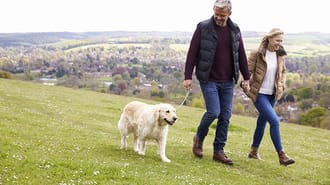 People walking a Golden Retriever
