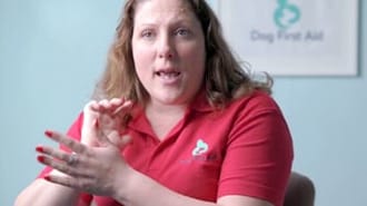Jo Middleton from Dog First Aid Franchise Limited