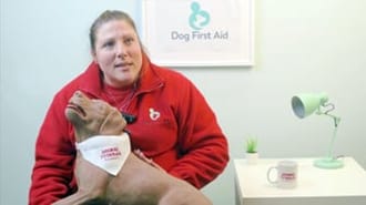Jo Middleton from Dog First Aid Franchise Limited