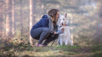 A person petting a dog