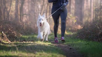 Running with a dog