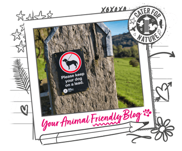 A picture of a sign in the countryside, which says to keep dogs on leads