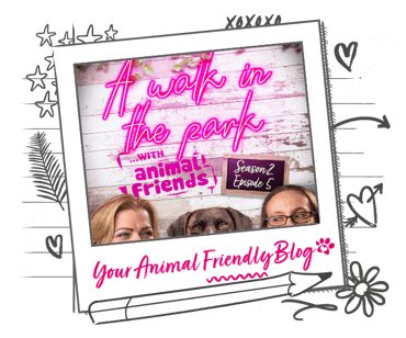 A walk in the park podcast season 2 episode 5