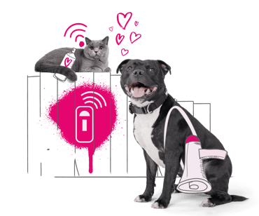 A dog and cat call from awareness of microchipping