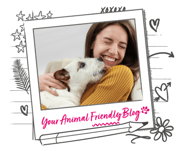 An affectionate dog is liking the chin of the woman cuddling them