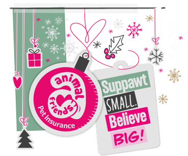 Support small, believe big - 2023!