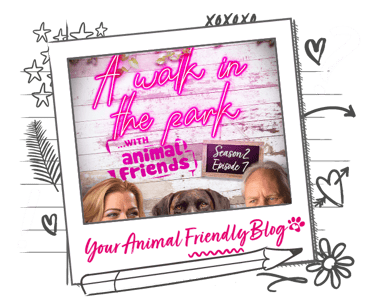 A walk in the park podcast season 2 episode 7