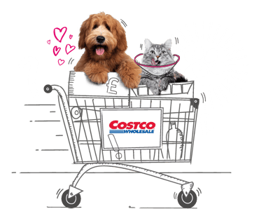 Pets in a Costco shopping trolley