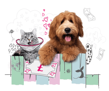 Refer a friend! A cat wearing a vet collar, and a dog are peeking over a fence