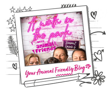 A walk in the park podcast season 2 episode 6: Anxious dogs