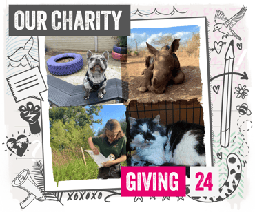 4 image lock up of supported charity activity from Q4 2024