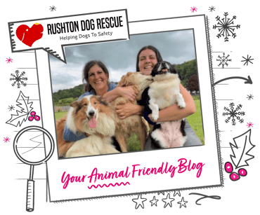 Rushton Dog Rescue team with 3 dogs