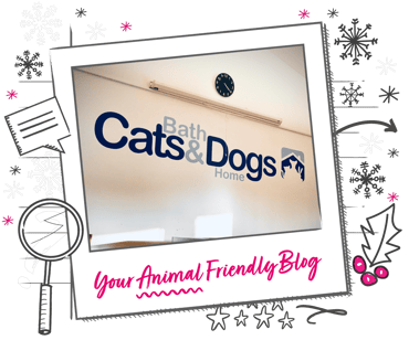 Bath Cats and Dogs Home logo