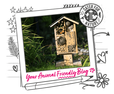 A bug hotel