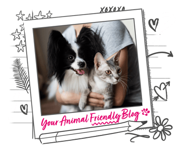 A dog and cat in the arms on a woman looking towards something