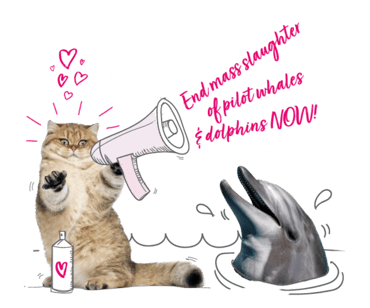 End mass slaughter of pilot whales and dolphins now, calls a cat from a megaphone to the welcoming ears of a dolphin