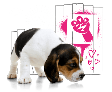 A puppy Beagle, and a spray painted "paw in the air" signifying support