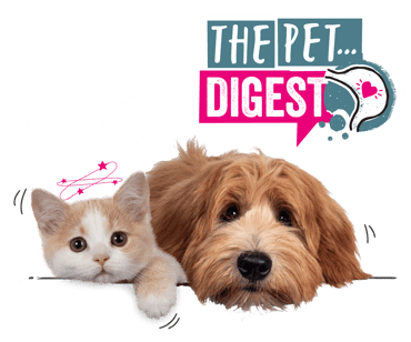 The Pet Digest appears above a confused kitten and dog