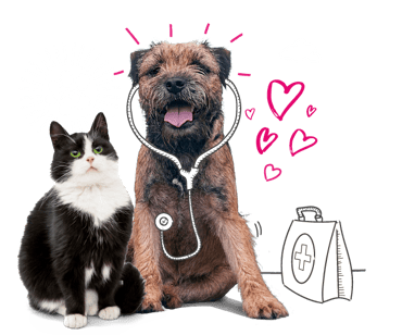 A cat and dog sit together, the dog is wearing an illustrated stethoscope and has a medical bag 