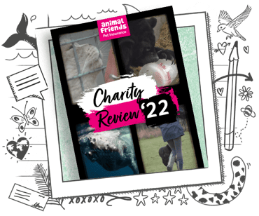 Charity review 2022