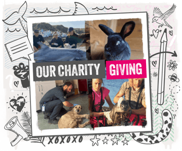4 image lock up of charity activity