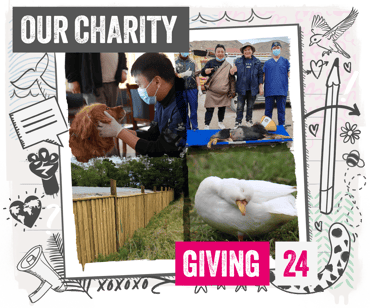 4 image lock up of supported charity activity
