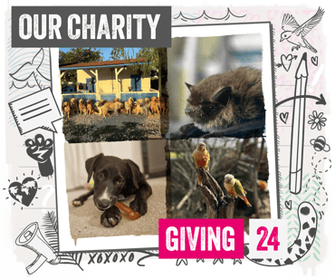 4 image lock up of supported charity activity