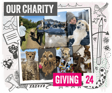 7 image lock up of supported charity activity
